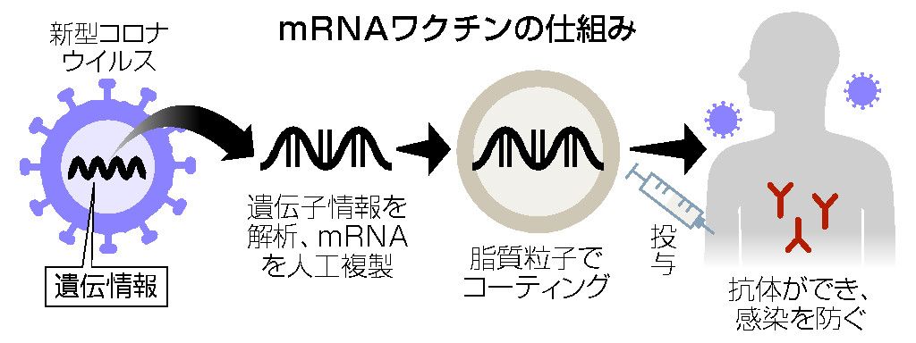 Rna メッセンジャー 初めての『人間の遺伝子組み換え』危険なワクチン