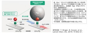 IMUUNO AG COVID-19 Ag　銀増幅技術